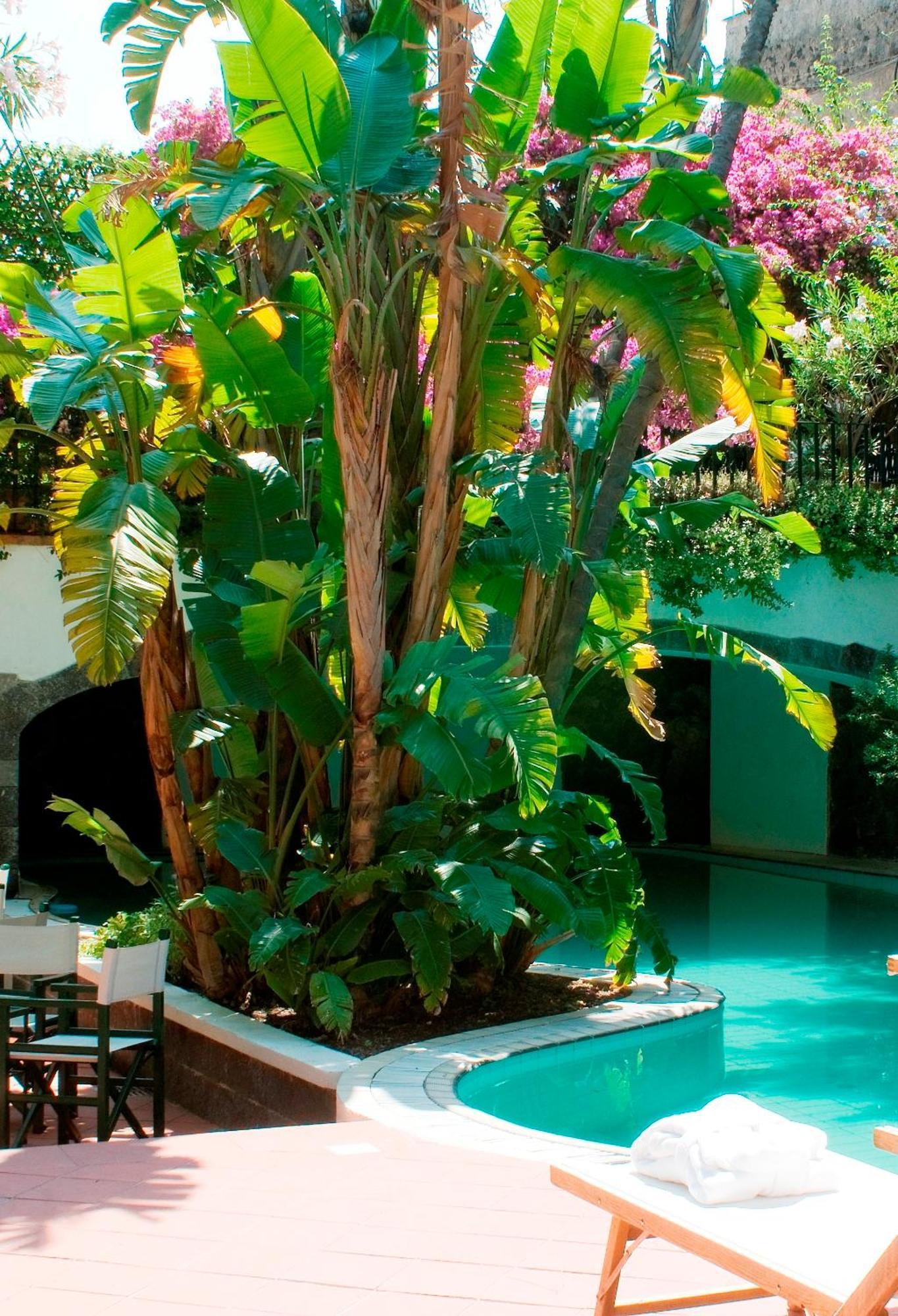 Hotel La Villarosa Terme Искья Экстерьер фото